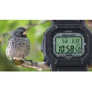 Мужские часы Casio G-Shock GW-B5600CD-1A3