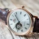 Мужские часы Orient FAG00001S